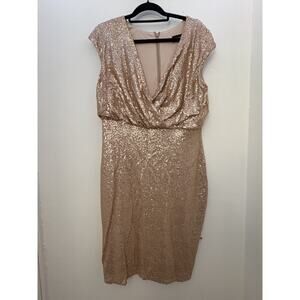 Tadashi Shoji Women's Dress Size XL Pre-Owned Good